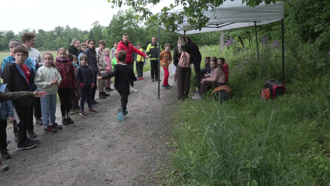 vlcsnap-2026-05-25-11h40m34s214-1280x720.jpg