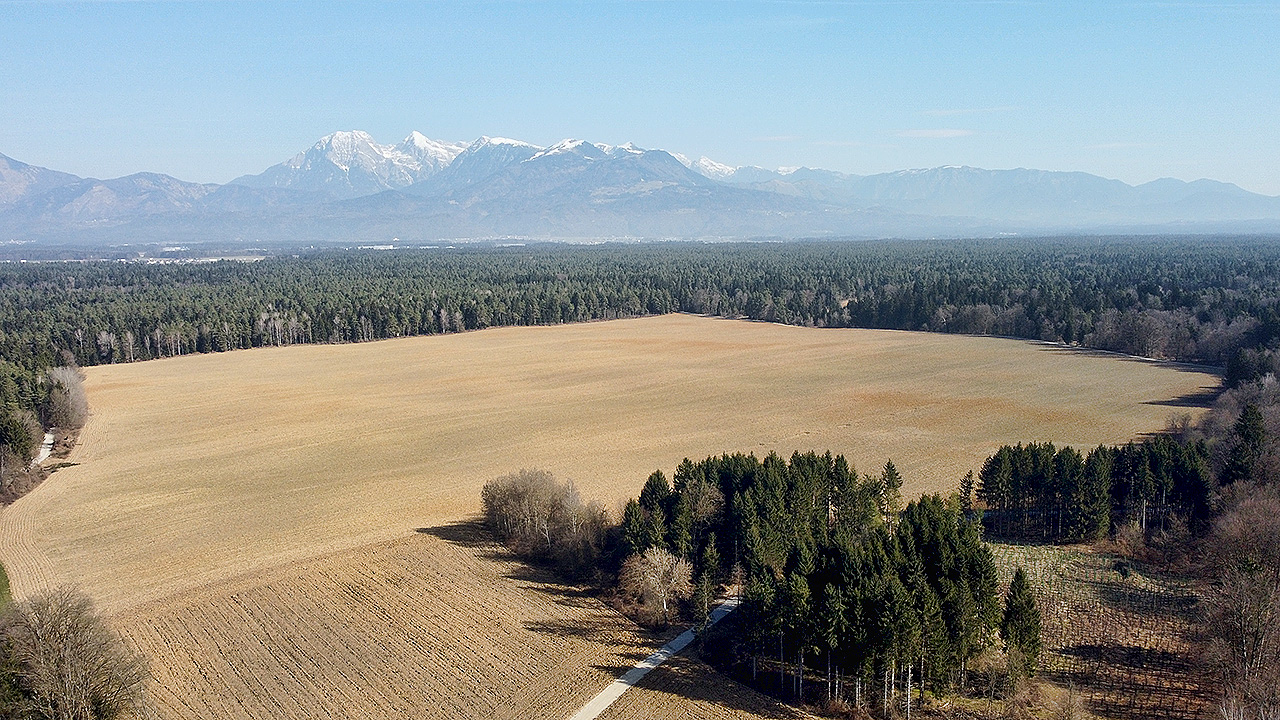 DJI_0216.jpg